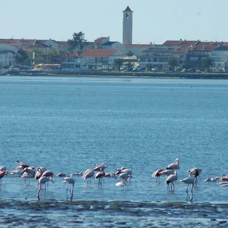 Vakantiehuis Casa Dos Amigos - A Luxury In The Nature