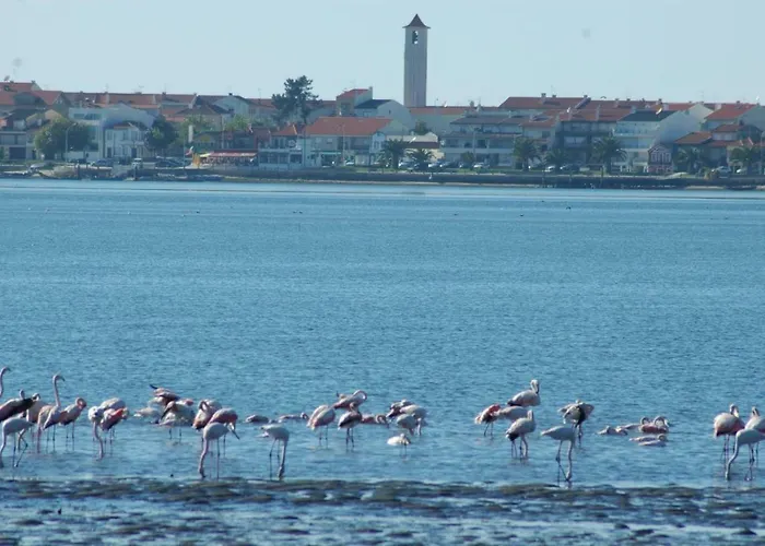 Casa de Férias Casa Dos Amigos - A Luxury In The Nature