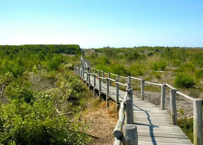 Casa de Férias Casa Dos Amigos - A Luxury In The Nature Torreira