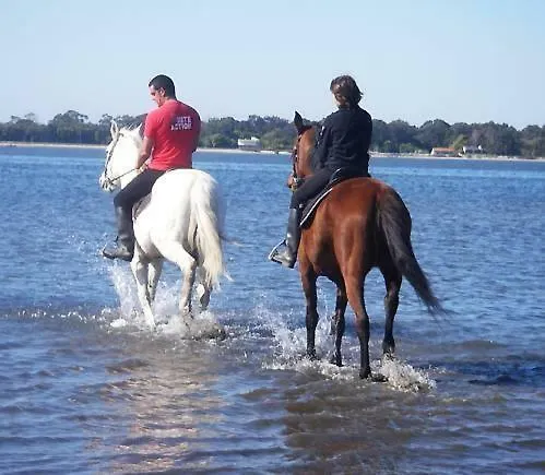 Casa Dos Amigos - A Luxury In The Nature