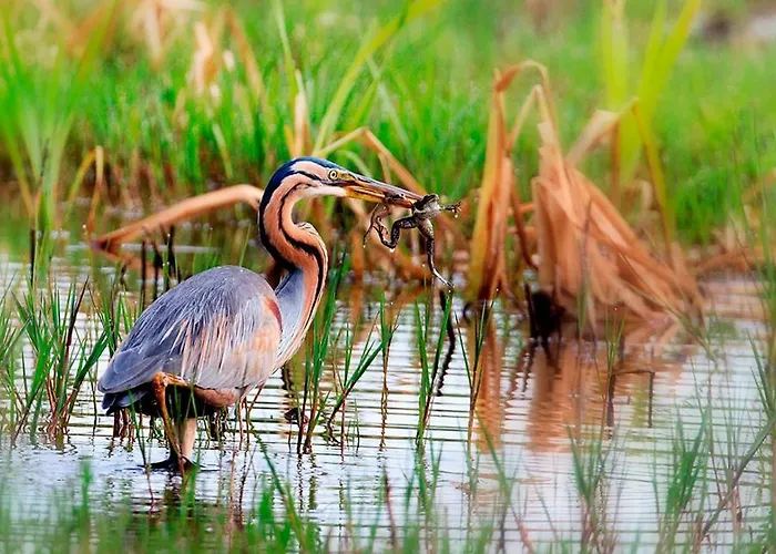 Casa Dos Amigos - A Luxury In The Nature Casa de Férias Torreira